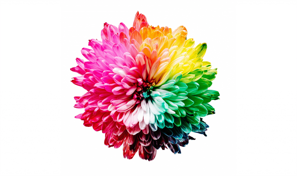 KB-comm-resources-Color Psychology in Branding